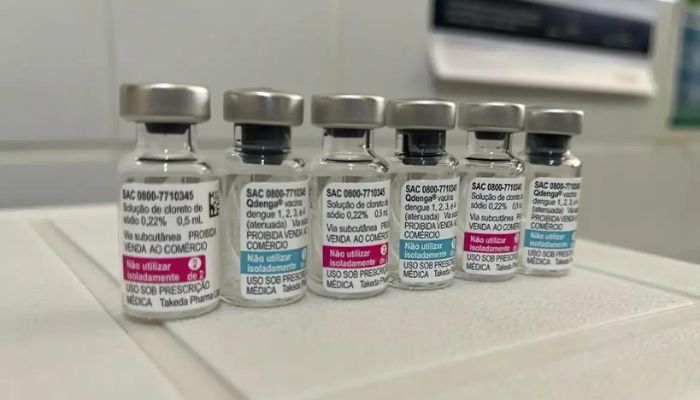 Vacinação contra dengue vai priorizar faixa etária de 6 a 16 anos